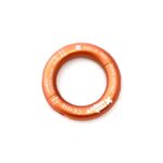 Ring Connect Lastenring