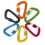 Classic D Schraubkarabiner